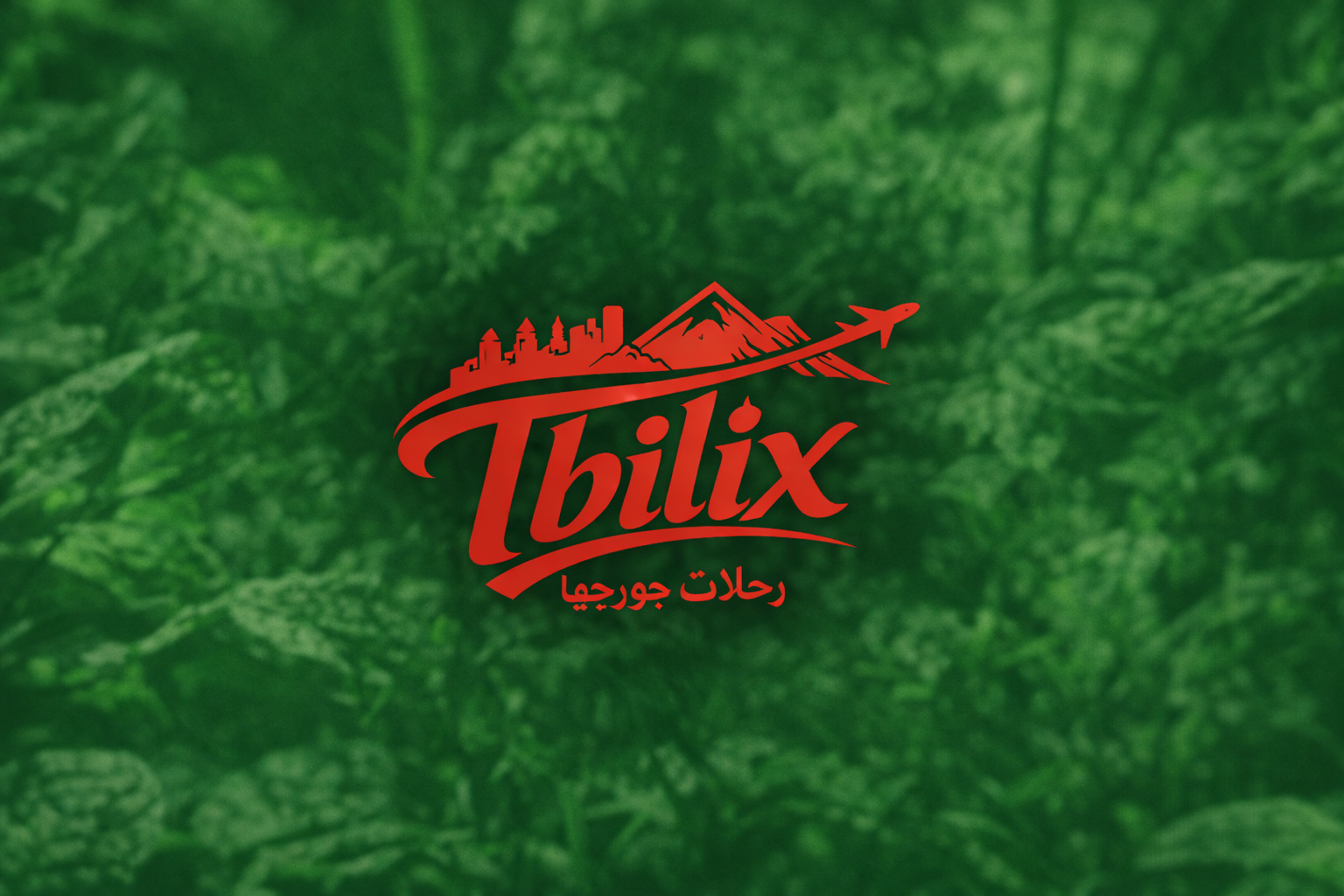 tbilix.romlendtraveling.com