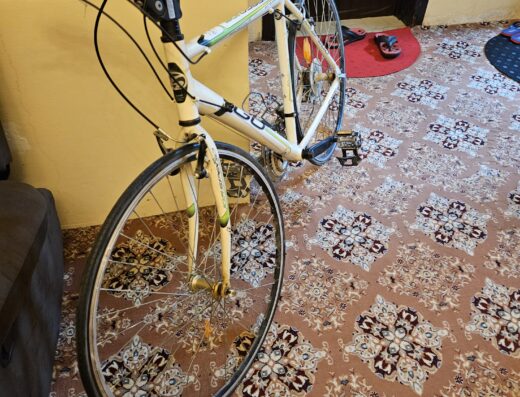 French Bicycle – Premium Quality | Made in France 🇫🇷