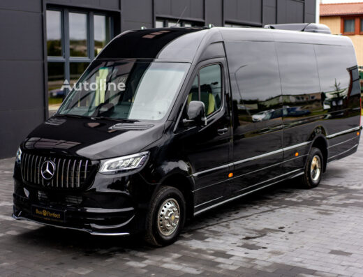 Mercedes Sprinter Minibus with Driver in Georgia