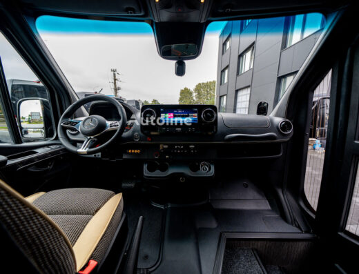 Mercedes Sprinter Minibus with Driver in Georgia