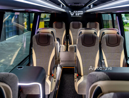Mercedes Sprinter Minibus with Driver in Georgia